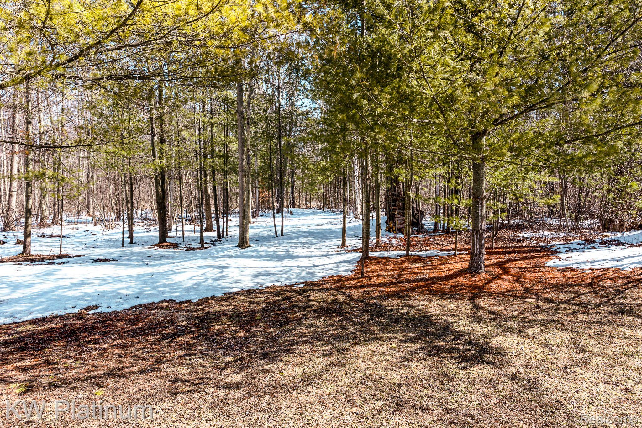 2380 Hueling Road Port Huron, MI 48060 - Photo 4 of 31 Woods