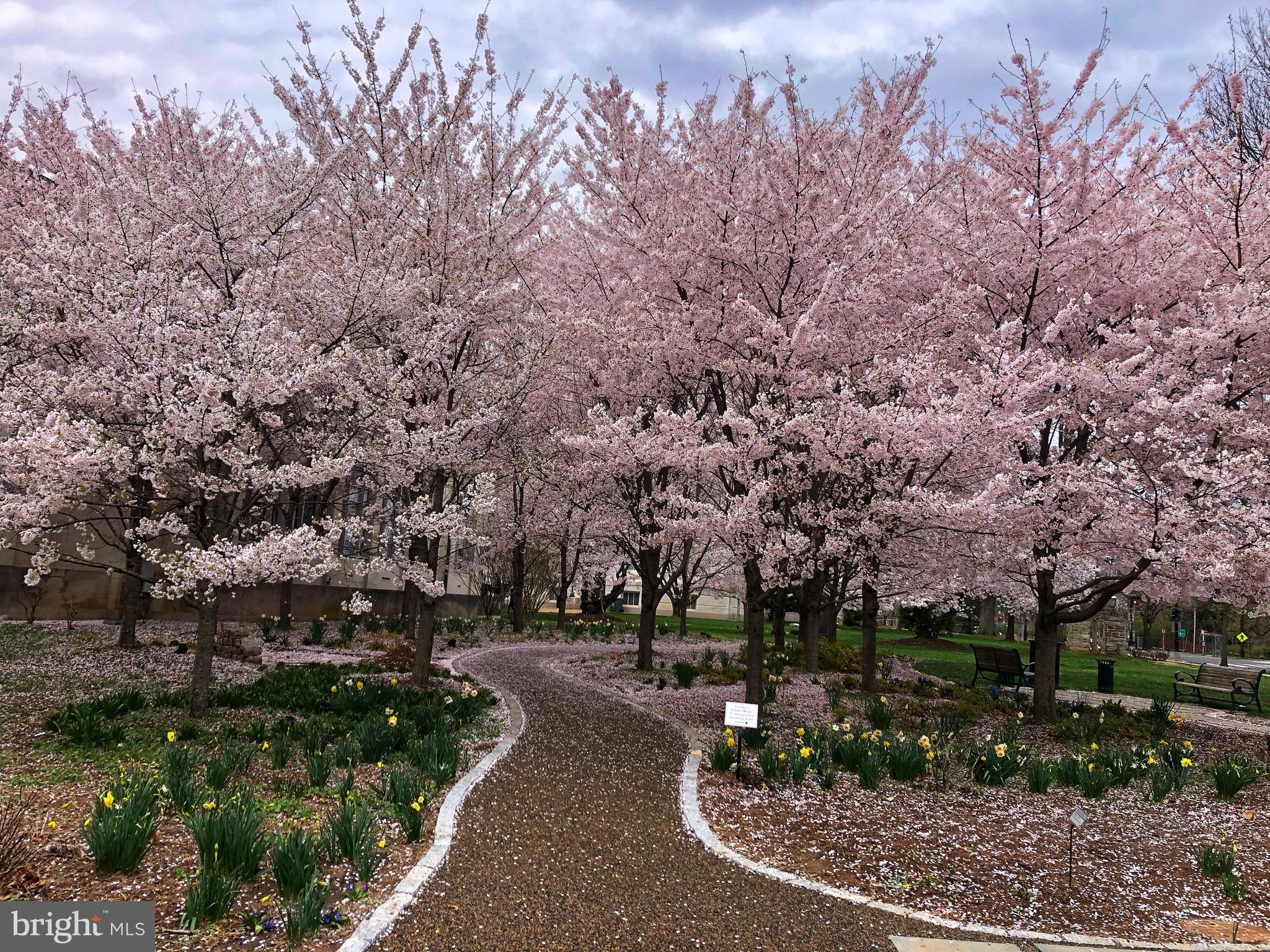 3205 Sutton Place Northwest, Unit D Washington, DC 20016 - Photo 24 of 25 American University