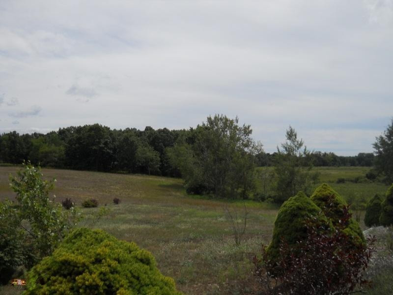 11263 Amber Road Manistee, MI 49660 - Photo 6 of 19 DSCN5751
