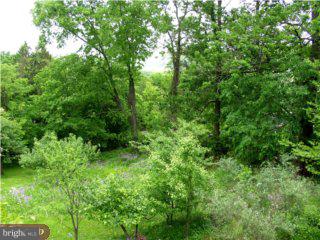 7474 Ferry Road New Hope, PA 18938 - Photo 2 of 5