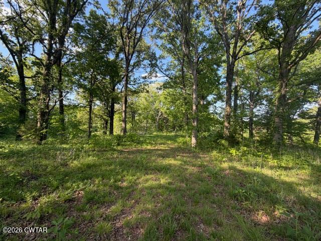 0 McBride Cemetery Road Sardis, TN 38371 - Photo 14 of 41 22