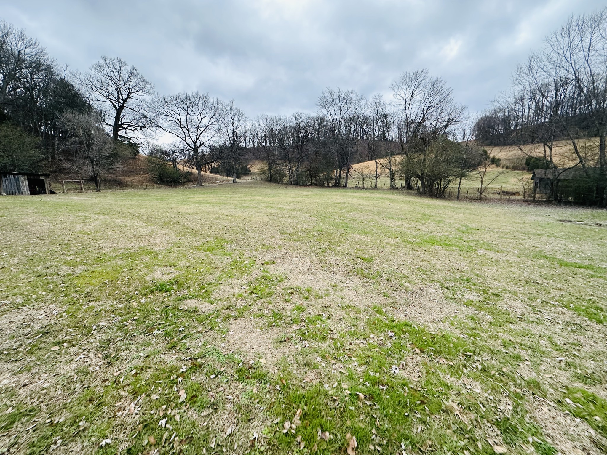 247 Hamestring Road Fayetteville, TN 37334 - Photo 27 of 29 a view of a field with trees