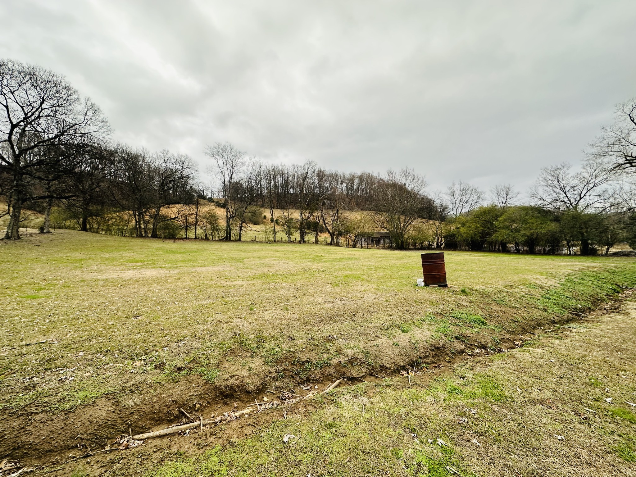 247 Hamestring Road Fayetteville, TN 37334 - Photo 29 of 29 a view of yard with swimming pool and trees