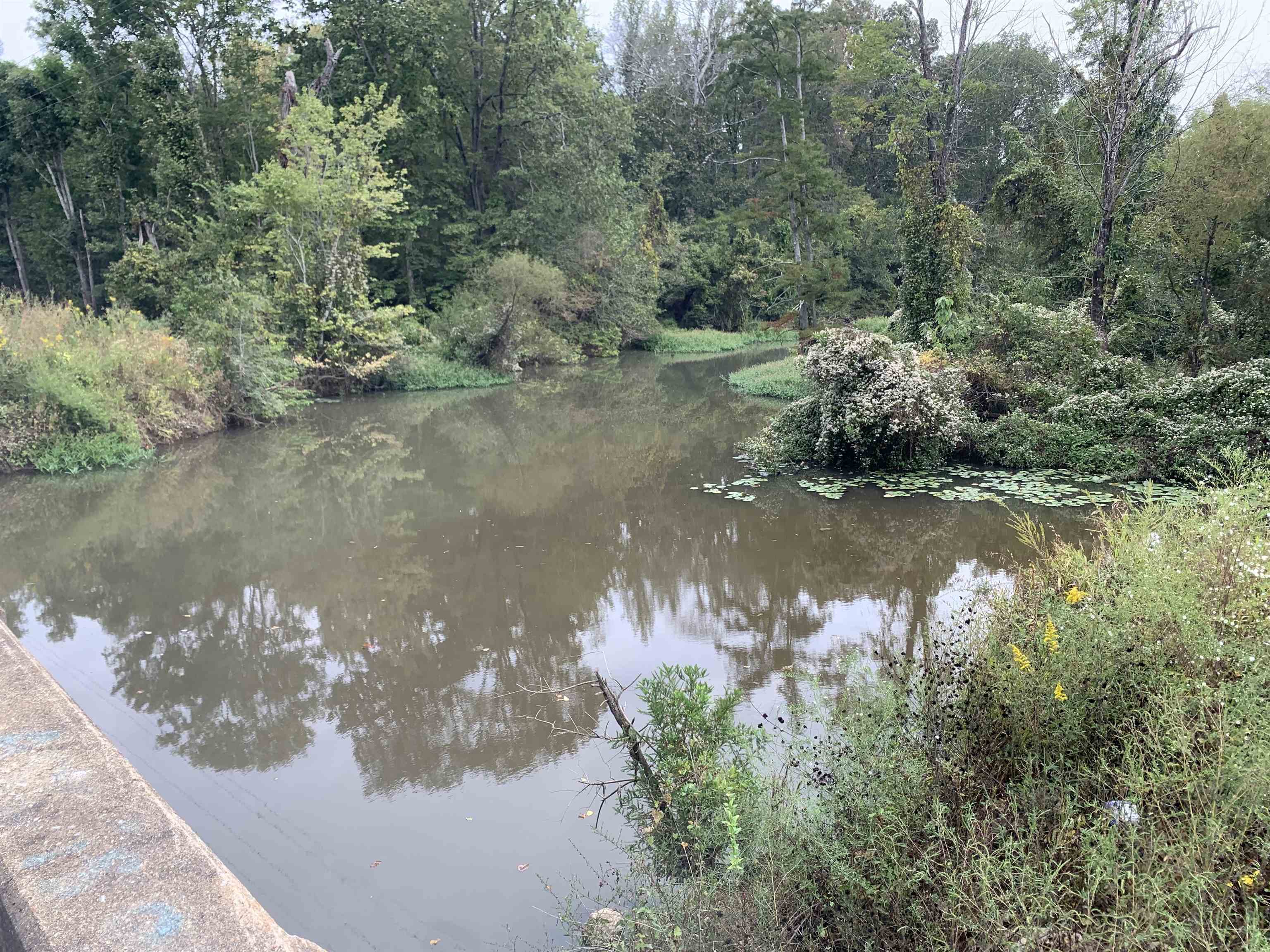 Butler Chapel Road Ramer, TN 38367 - Photo 13 of 16