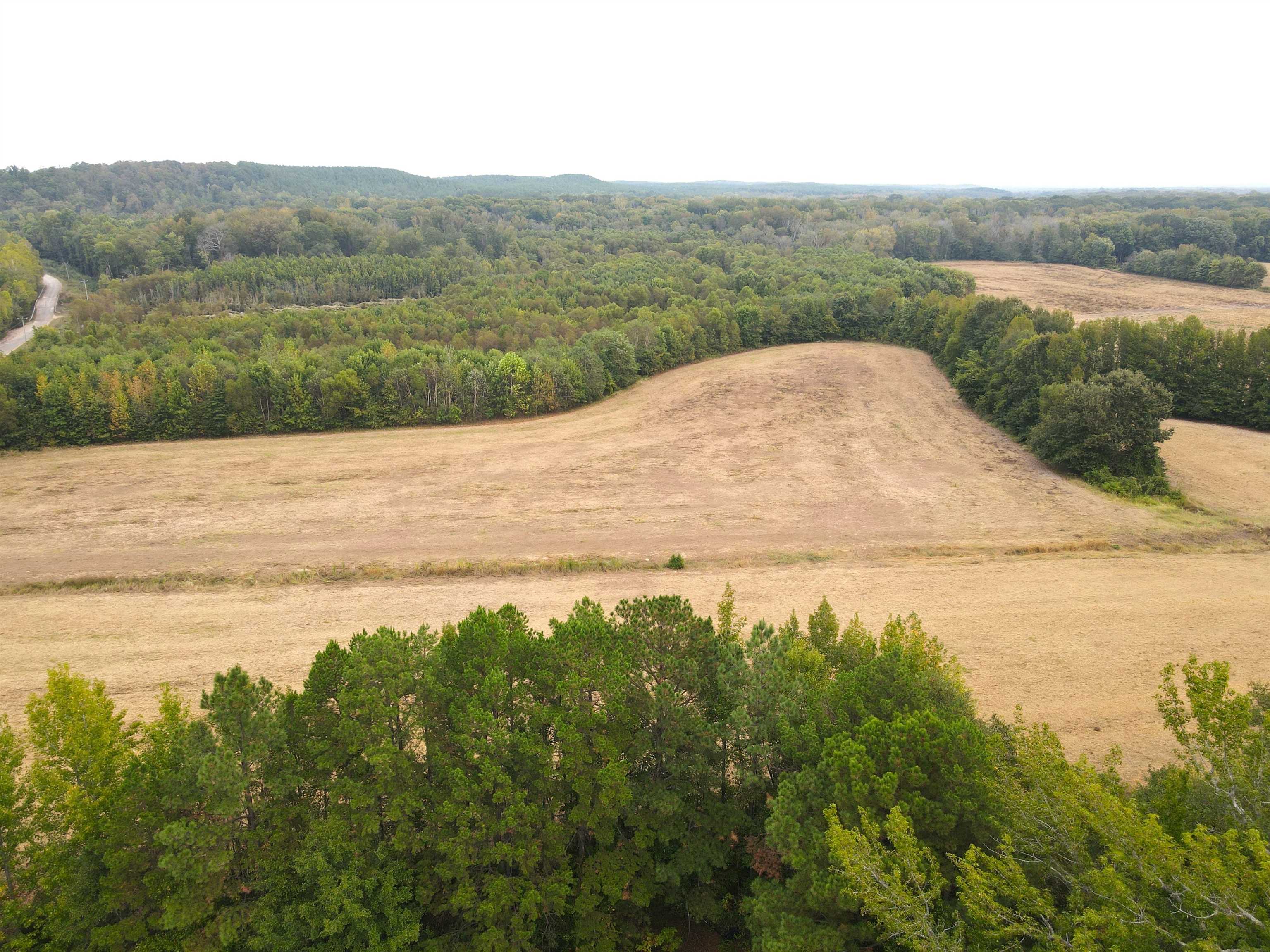 Butler Chapel Road Ramer, TN 38367 - Photo 2 of 16