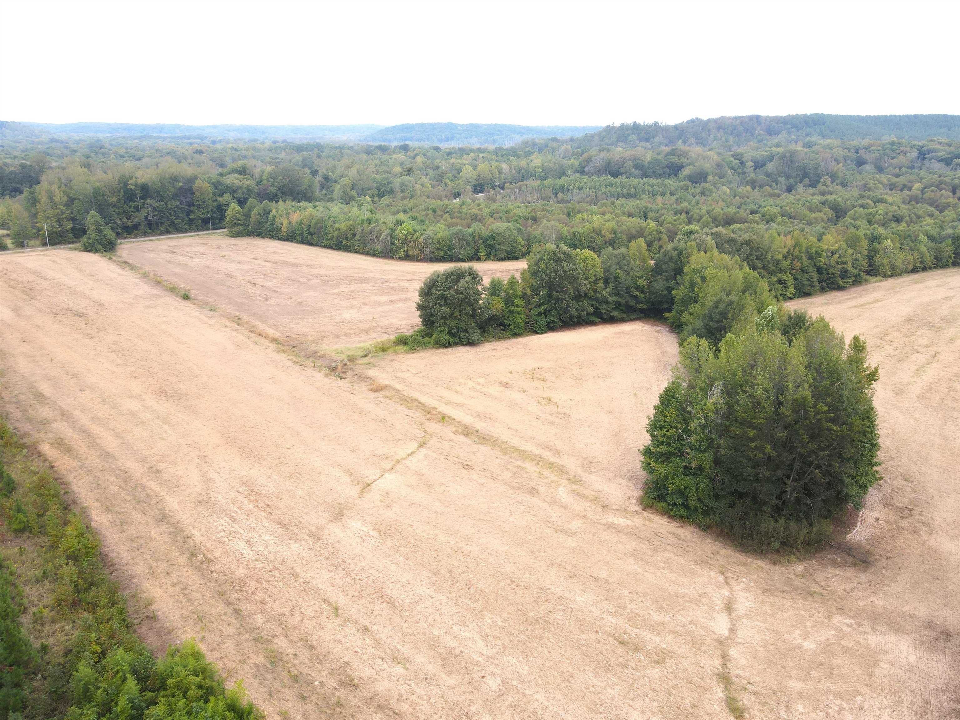 Butler Chapel Road Ramer, TN 38367 - Photo 3 of 16