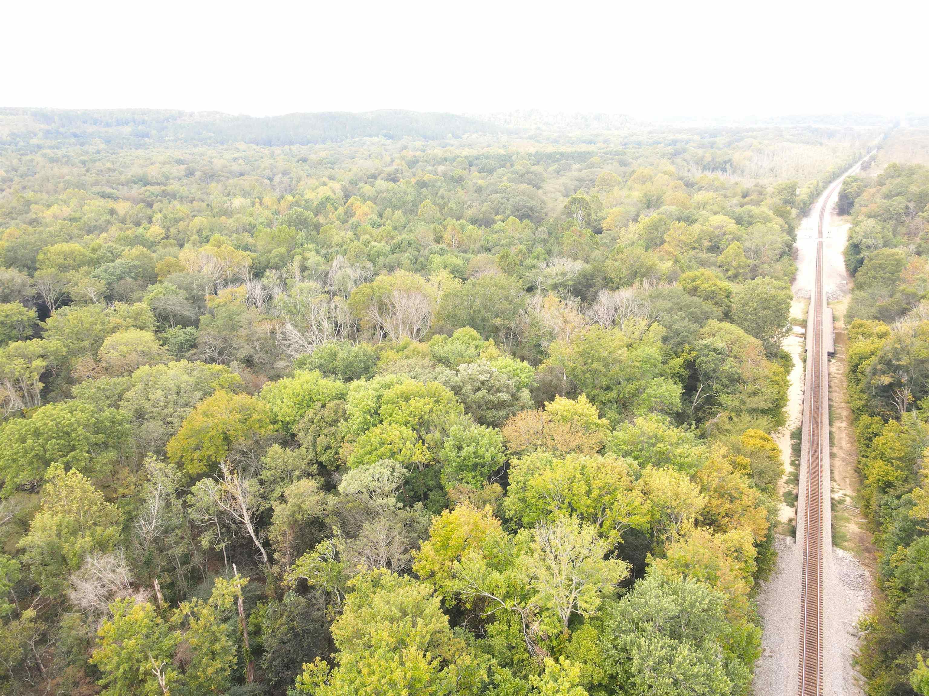 Butler Chapel Road Ramer, TN 38367 - Photo 7 of 16