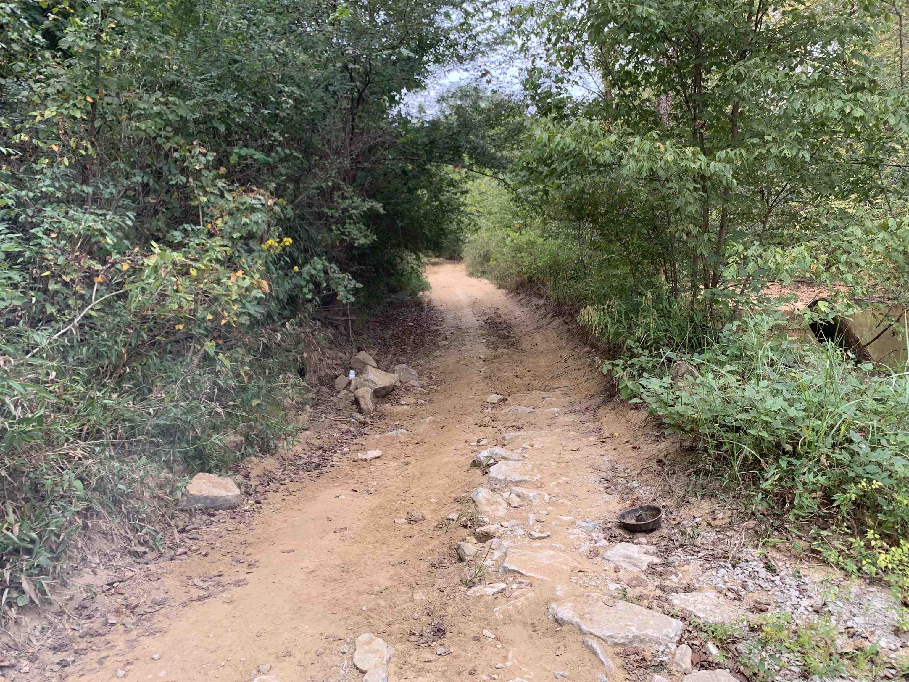 Butler Chapel Road Ramer, TN 38367 - Photo 8 of 16