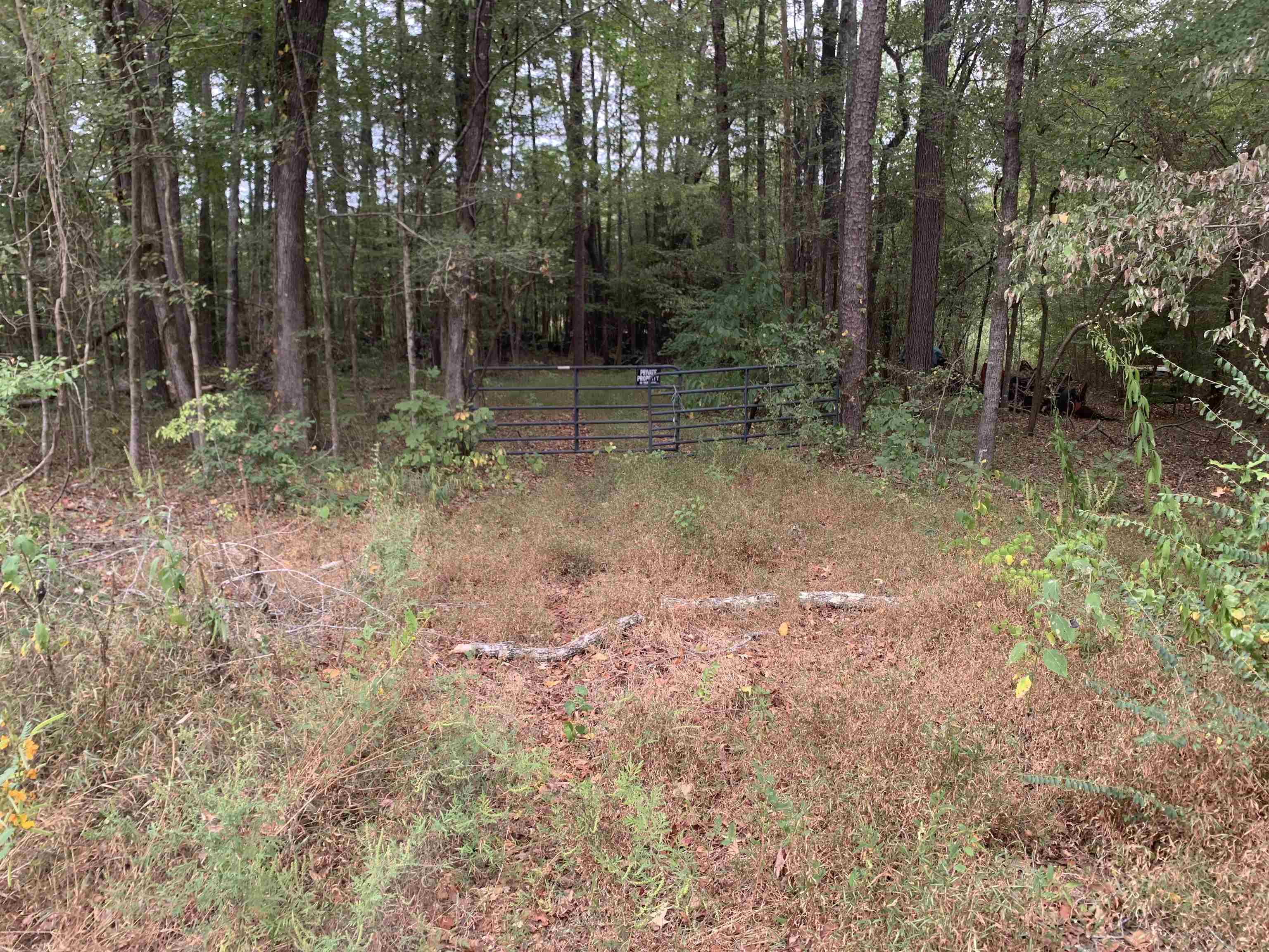 Butler Chapel Road Ramer, TN 38367 - Photo 9 of 16