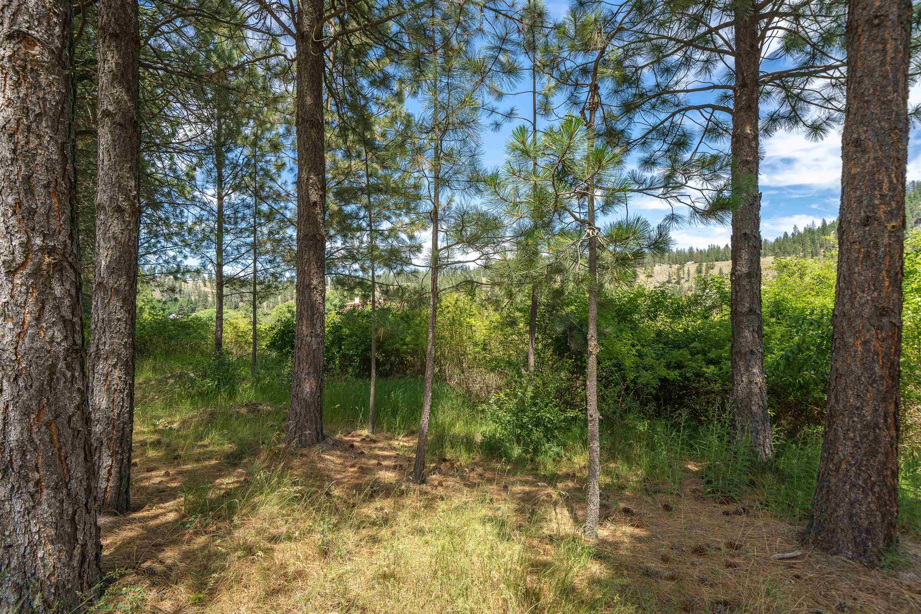 9922 West Tormey Road Nine Mile Falls, WA 99026 - Photo 31 of 50