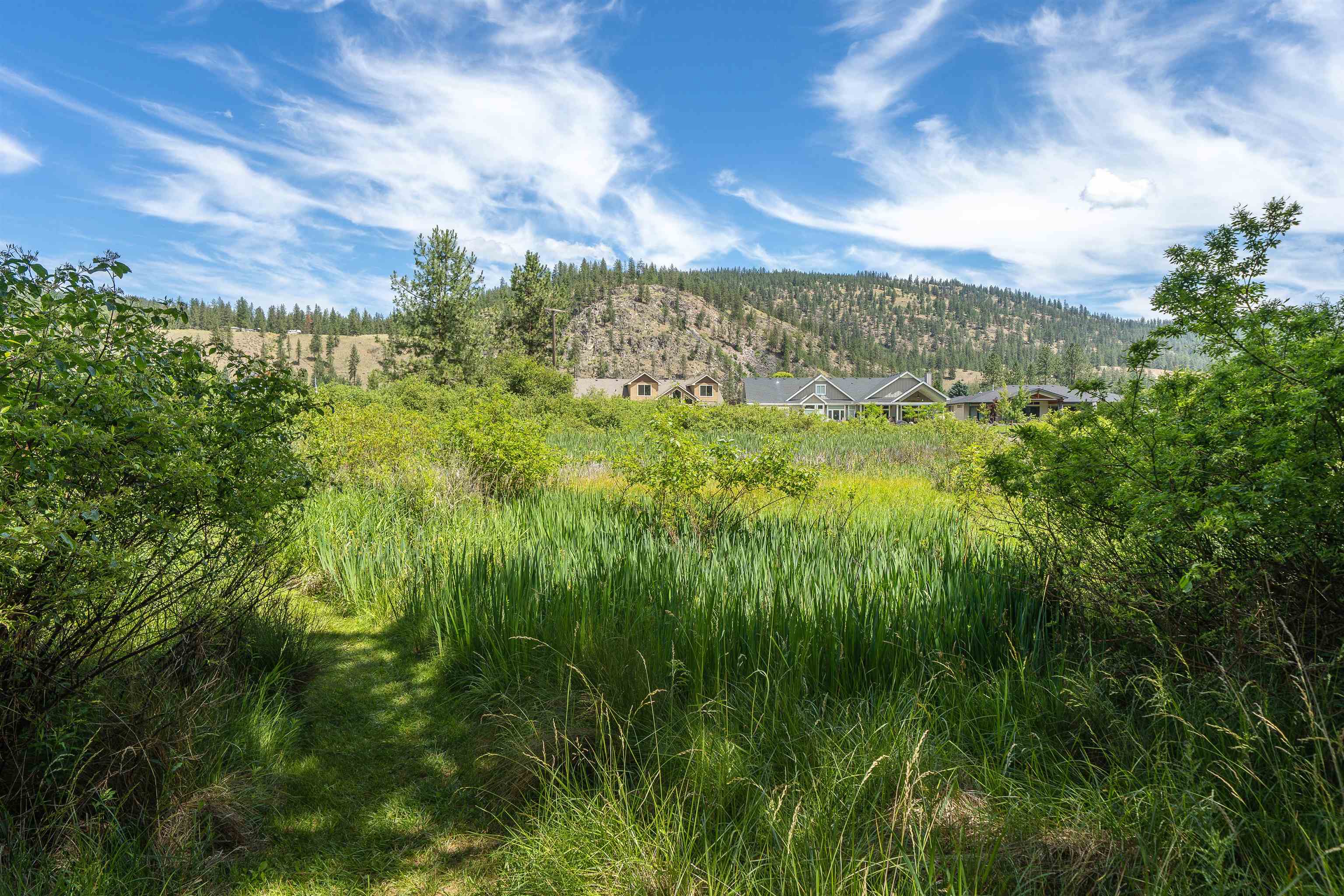 9922 West Tormey Road Nine Mile Falls, WA 99026 - Photo 33 of 50