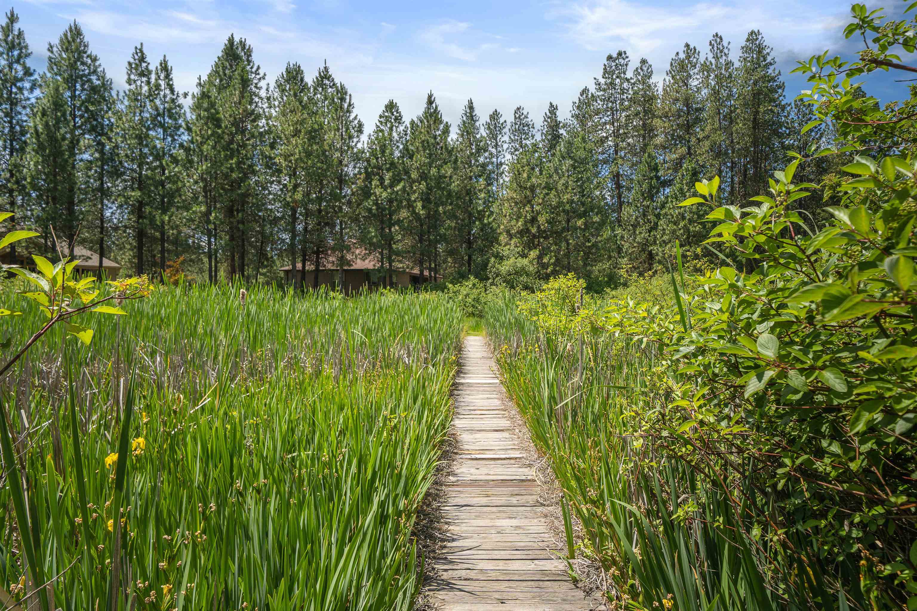 9922 West Tormey Road Nine Mile Falls, WA 99026 - Photo 34 of 50