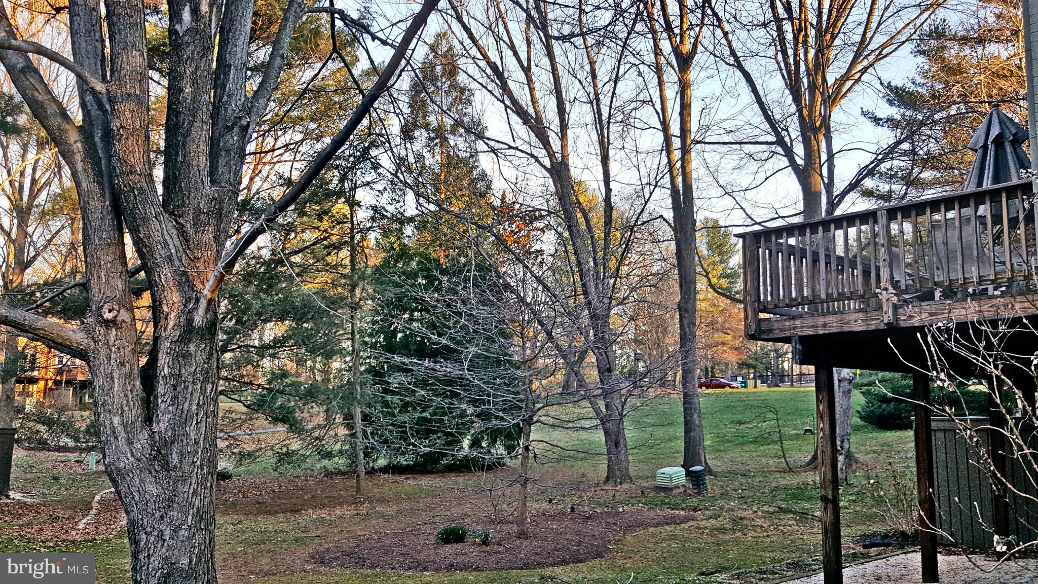 2030 Golf Course Drive Reston, VA 20191 - Photo 25 of 26 Backing to Trees and Common Area