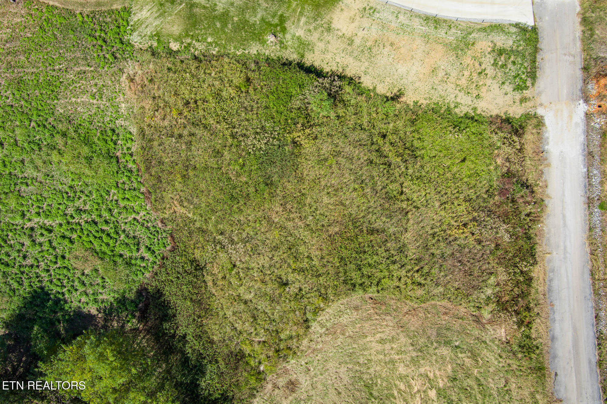 0 Bass Road Celina, TN 38551 - Photo 5 of 16 mls-Bass Ln Hilham-3_TNPC