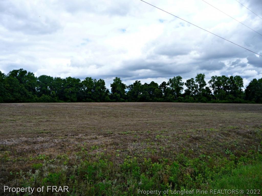 Pleasant Hope Road Fairmont, NC 28340 - Photo 15 of 19 Gallery Image 15
