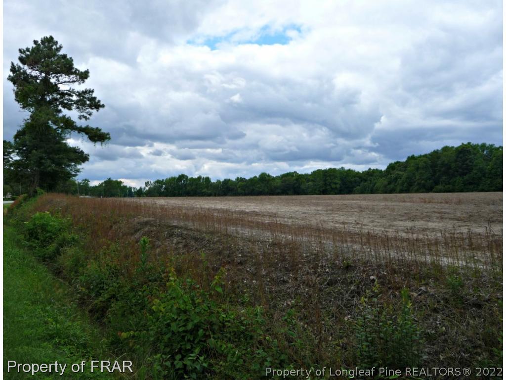 Pleasant Hope Road Fairmont, NC 28340 - Photo 16 of 19 Gallery Image 16
