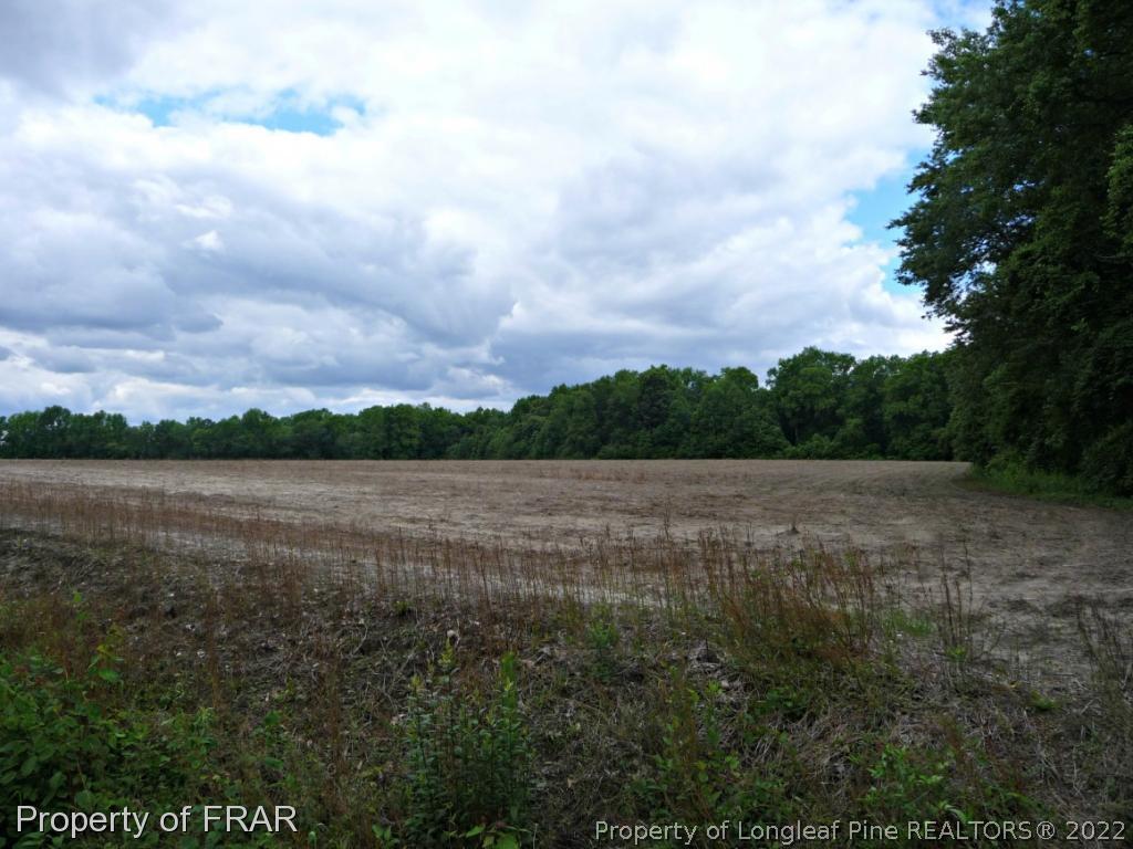 Pleasant Hope Road Fairmont, NC 28340 - Photo 17 of 19 Gallery Image 17