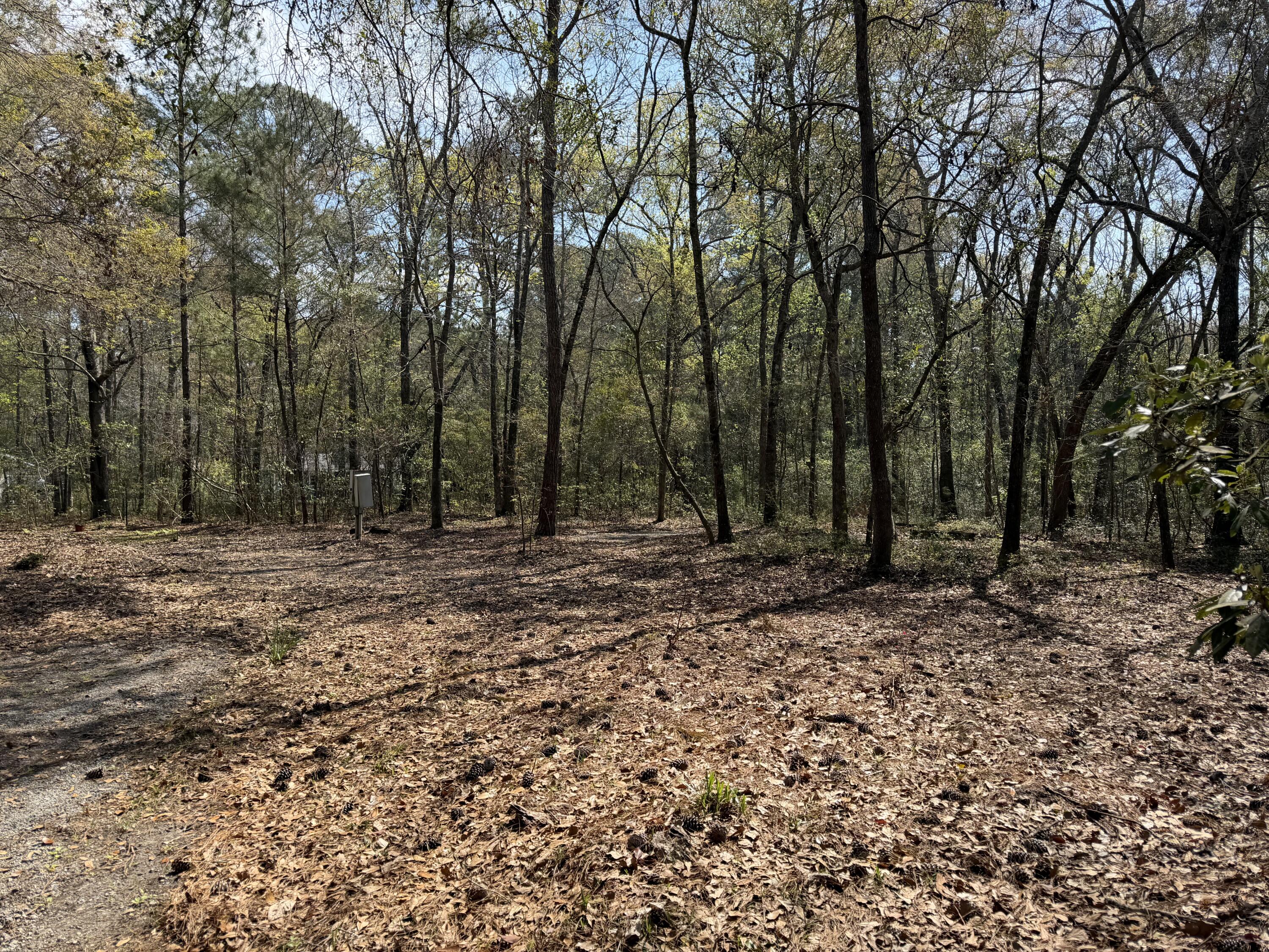 6321 Bears Bluff Road Wadmalaw Island, SC 29487 - Photo 1 of 14 IMG_8864