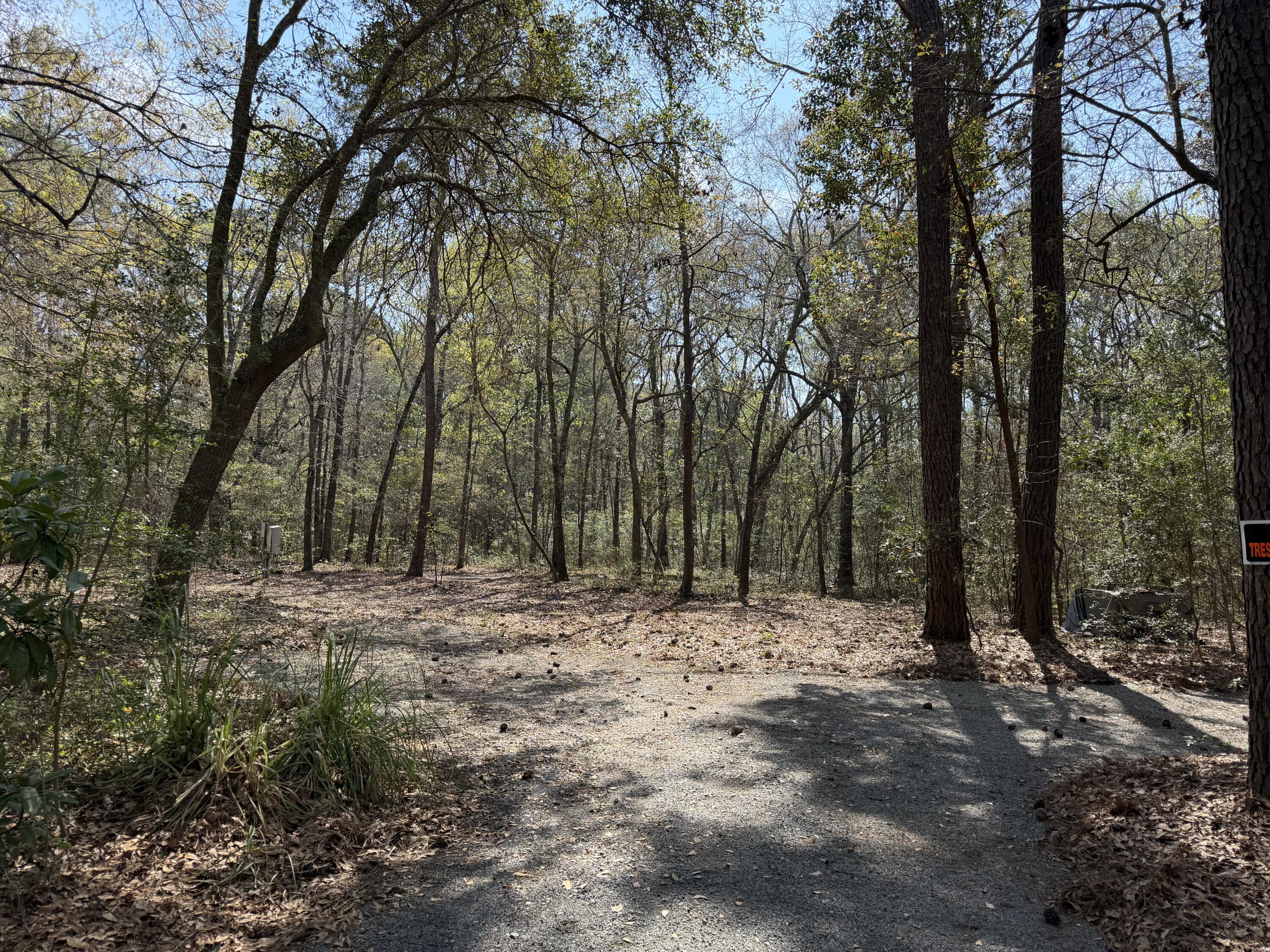 6321 Bears Bluff Road Wadmalaw Island, SC 29487 - Photo 5 of 14 IMG_8859