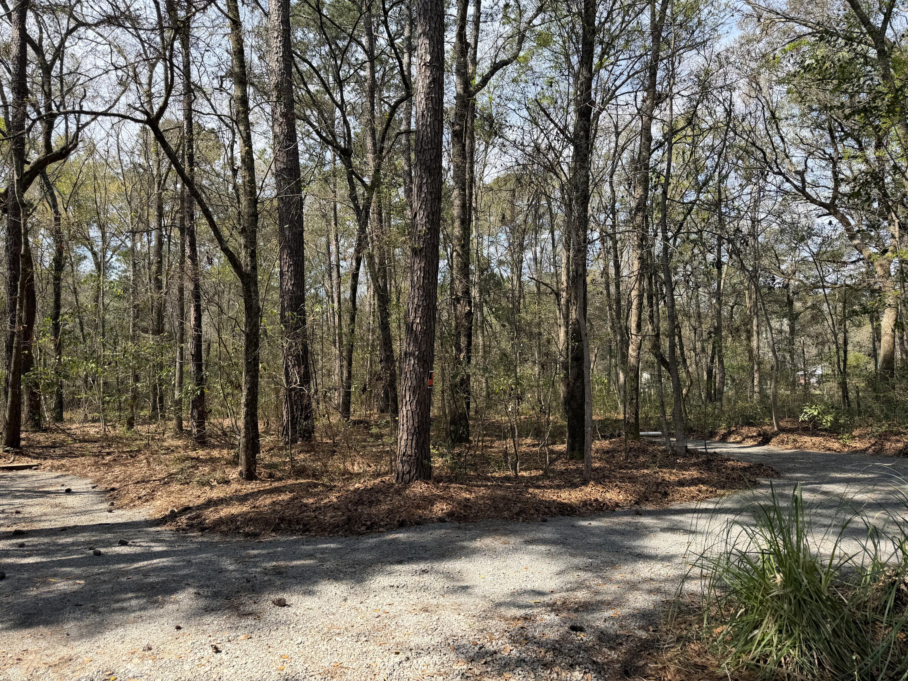 6321 Bears Bluff Road Wadmalaw Island, SC 29487 - Photo 6 of 14 IMG_8863
