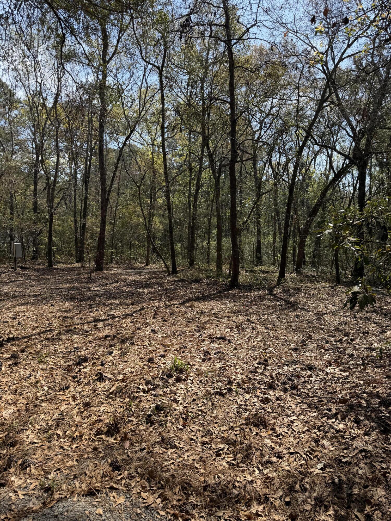 6321 Bears Bluff Road Wadmalaw Island, SC 29487 - Photo 8 of 14 IMG_8865