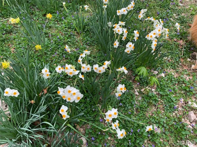 $189,900 | 678 Hwy K, Ellington, MO 63638