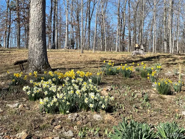 $189,900 | 678 Hwy K, Ellington, MO 63638