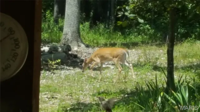 $189,900 | 678 Hwy K, Ellington, MO 63638