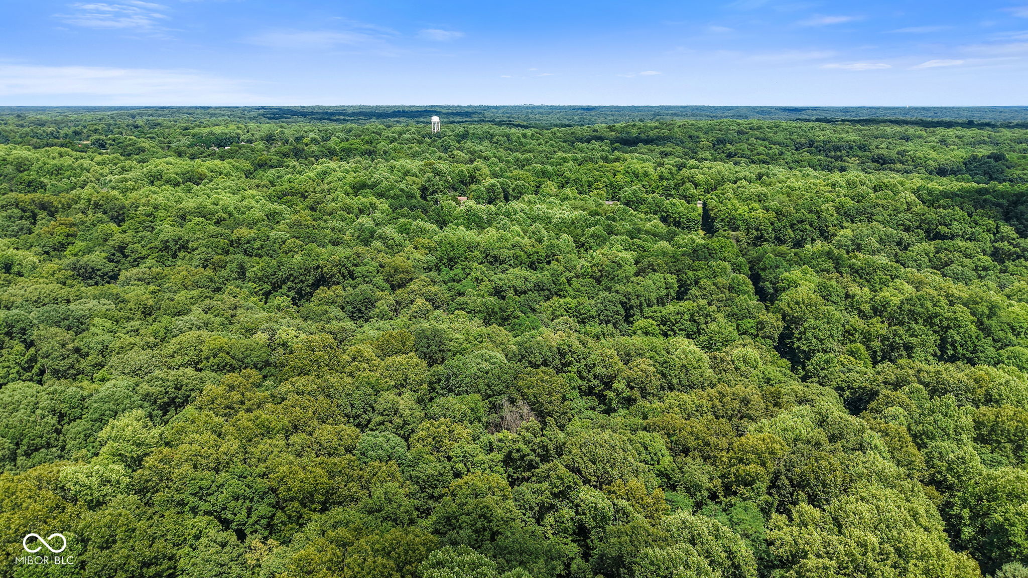 0 Upper Bean Blossom Road Trafalgar, IN 46181 - Photo 4 of 18