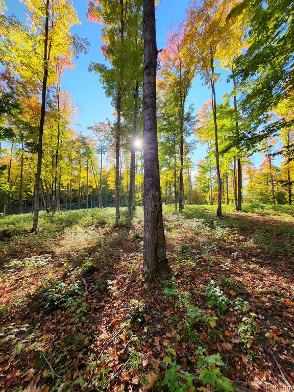 8530 Brudy Road Wolverine, MI 49799 - Photo 49 of 58