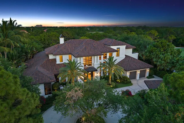 a view of a house with a yard and potted plants