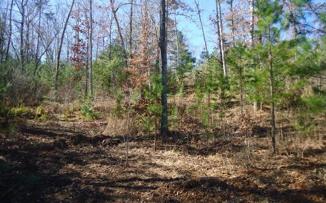 0 Ross Ridge Road Murphy, NC 28906 - Photo 2 of 2 Additional View