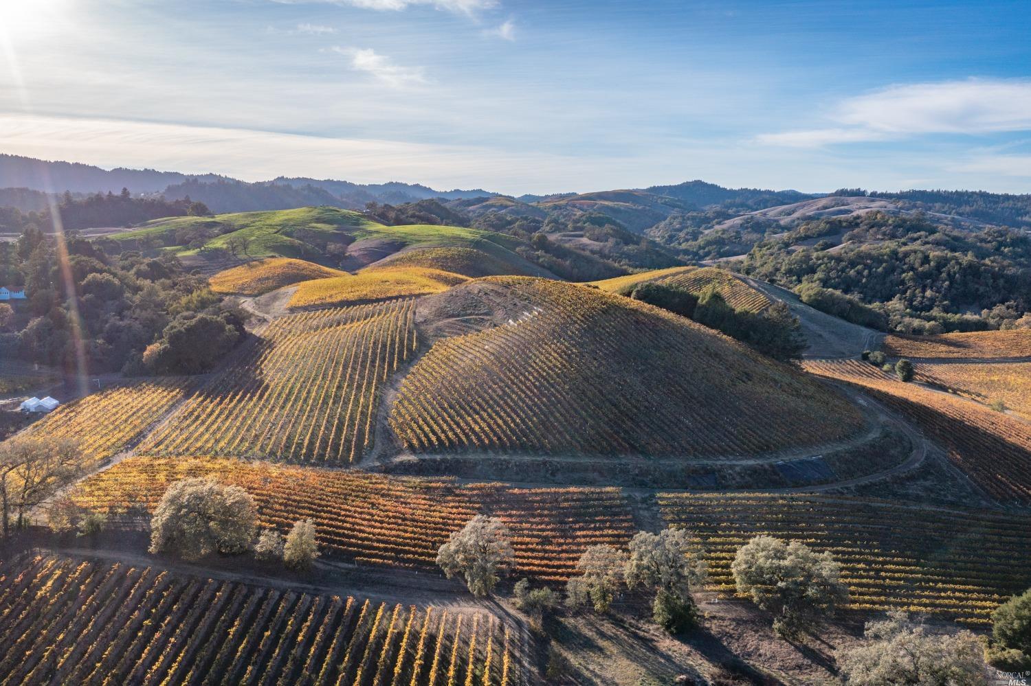 5285 Westside Road Healdsburg, CA 95448 - Photo 41 of 58
