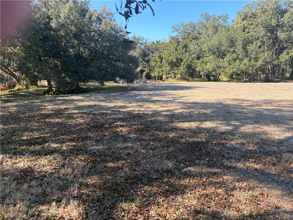 11311 Ganesh Way Sebastian, FL 32958 - Photo 11 of 28 a view of road with trees