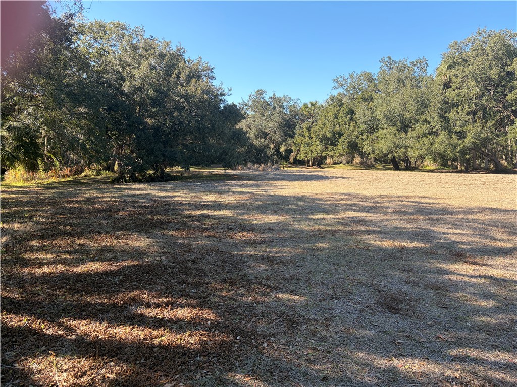 11311 Ganesh Way Sebastian, FL 32958 - Photo 12 of 28 a view of a yard with large trees