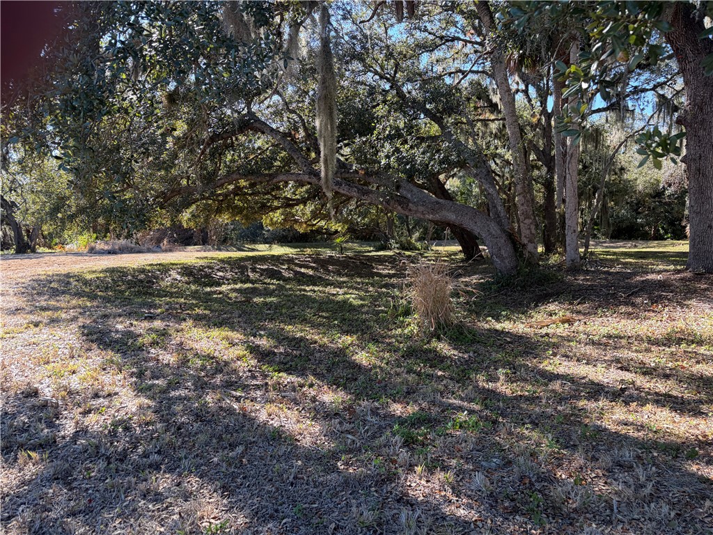 11311 Ganesh Way Sebastian, FL 32958 - Photo 13 of 28 a view of a yard with plants and trees