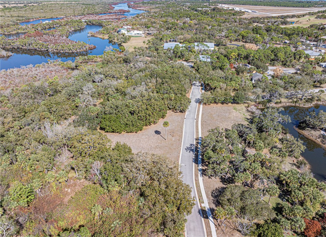 11311 Ganesh Way Sebastian, FL 32958 - Photo 24 of 28 a view of a yard with plants and large trees