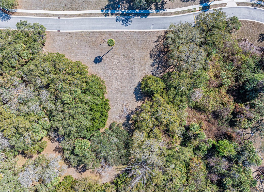 11311 Ganesh Way Sebastian, FL 32958 - Photo 26 of 28 an aerial view of a house with a yard and garden