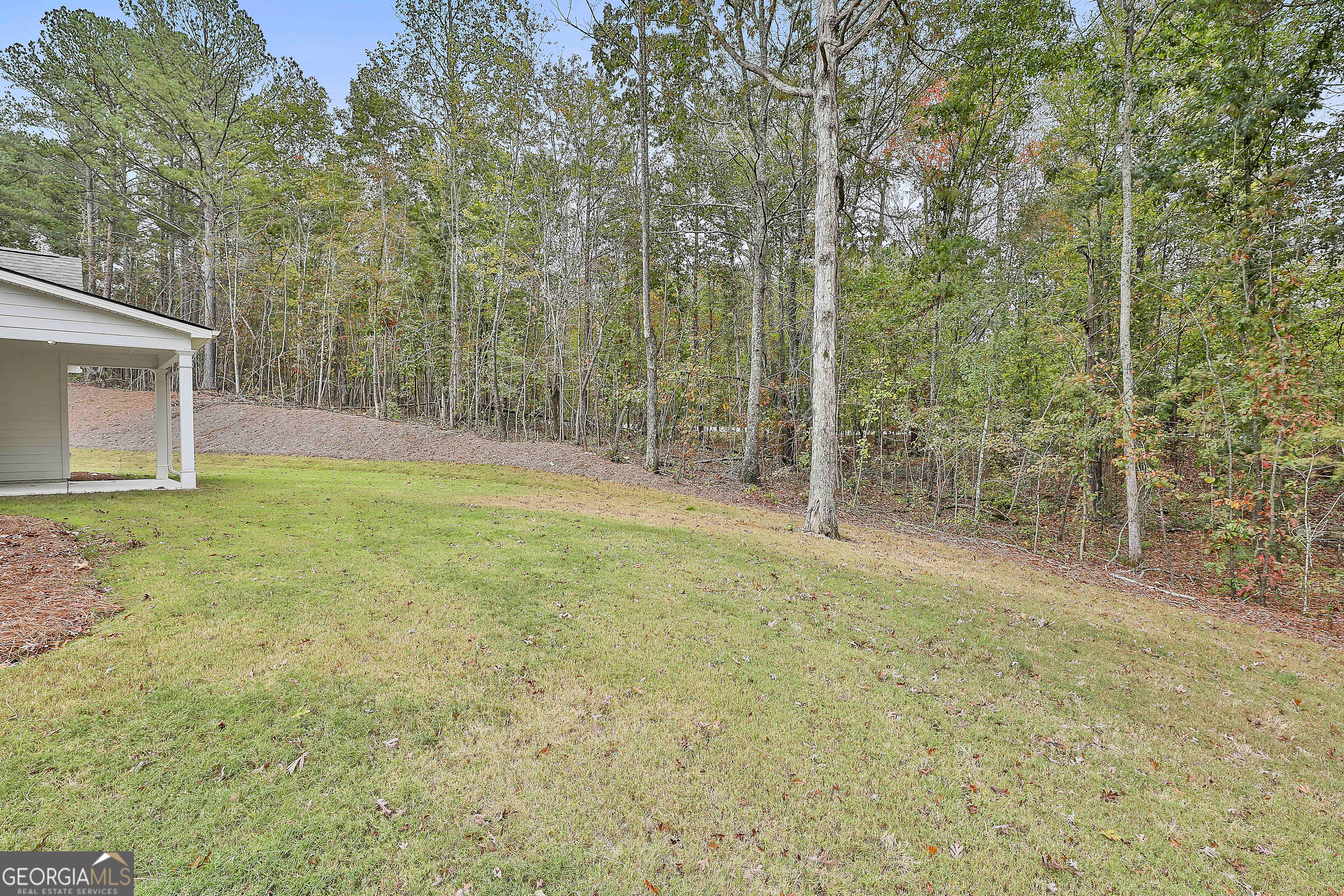 152 Wet Wood Drive, Unit 10 Fairburn, GA 30213 - Photo 39 of 39 a backyard of a house with lots of green space and fountain