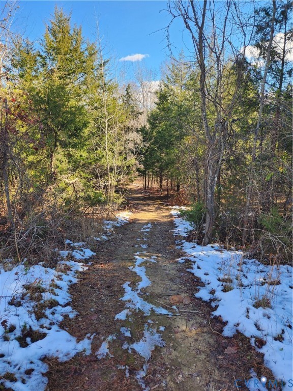 174 Mottley Mill Road Cumberland, VA 23040 - Photo 45 of 50 There are miles of ATV trails crossing over the pr