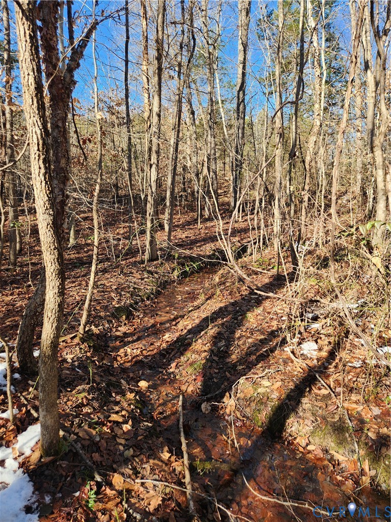 174 Mottley Mill Road Cumberland, VA 23040 - Photo 46 of 50 The creek on meanders in the middle of the propert