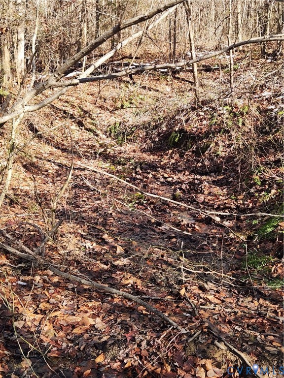 174 Mottley Mill Road Cumberland, VA 23040 - Photo 47 of 50 There is a spring that starts hear offering a nice