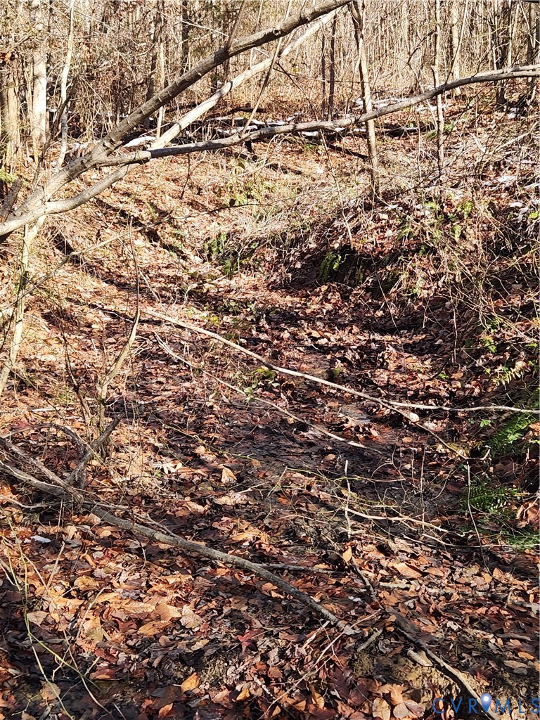 174 Mottley Mill Road Cumberland, VA 23040 - Photo 47 of 50 There is a spring that starts hear offering a nice