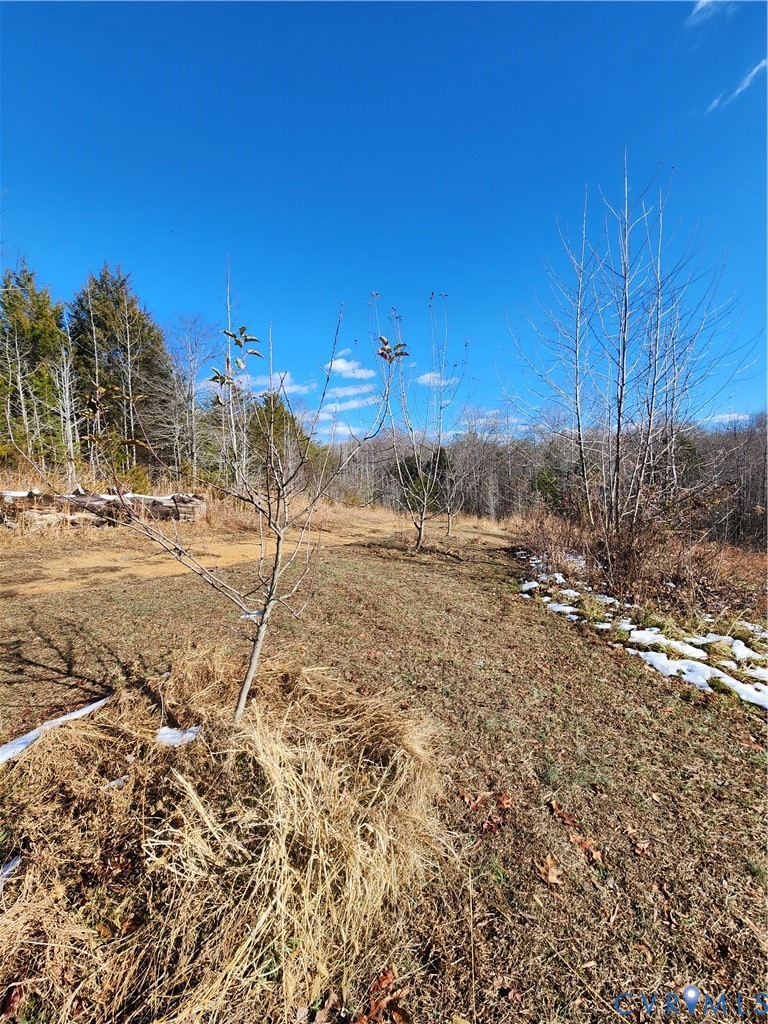 174 Mottley Mill Road Cumberland, VA 23040 - Photo 48 of 50 There are several established fruit trees on the p