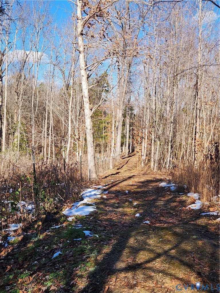 174 Mottley Mill Road Cumberland, VA 23040 - Photo 49 of 50 The property has an extensive trail system and is