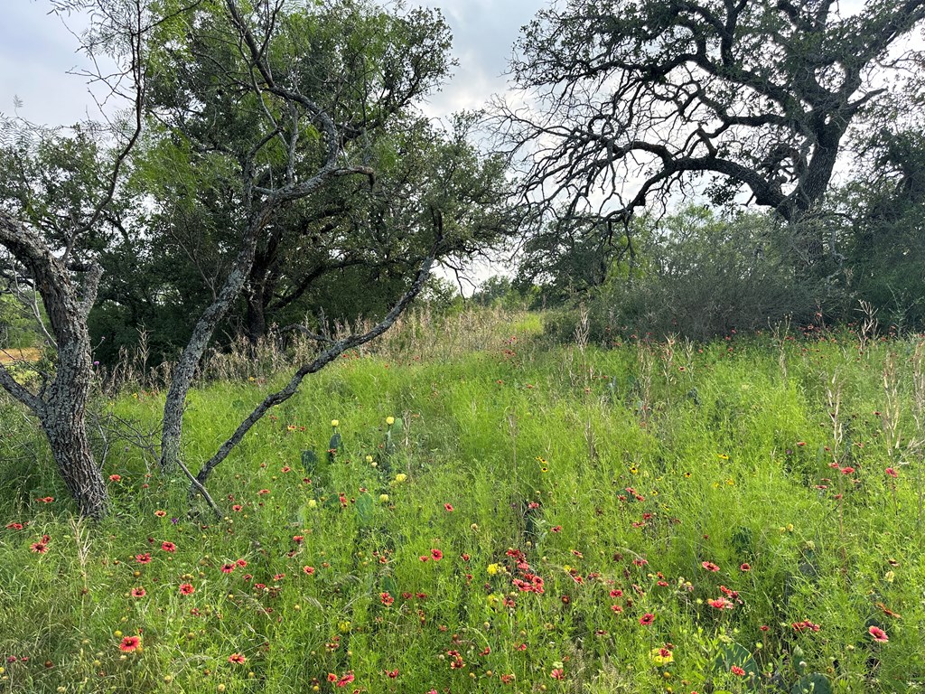 1 North Art Road Mason, TX 76856 - Photo 12 of 13 Gallery Image 12