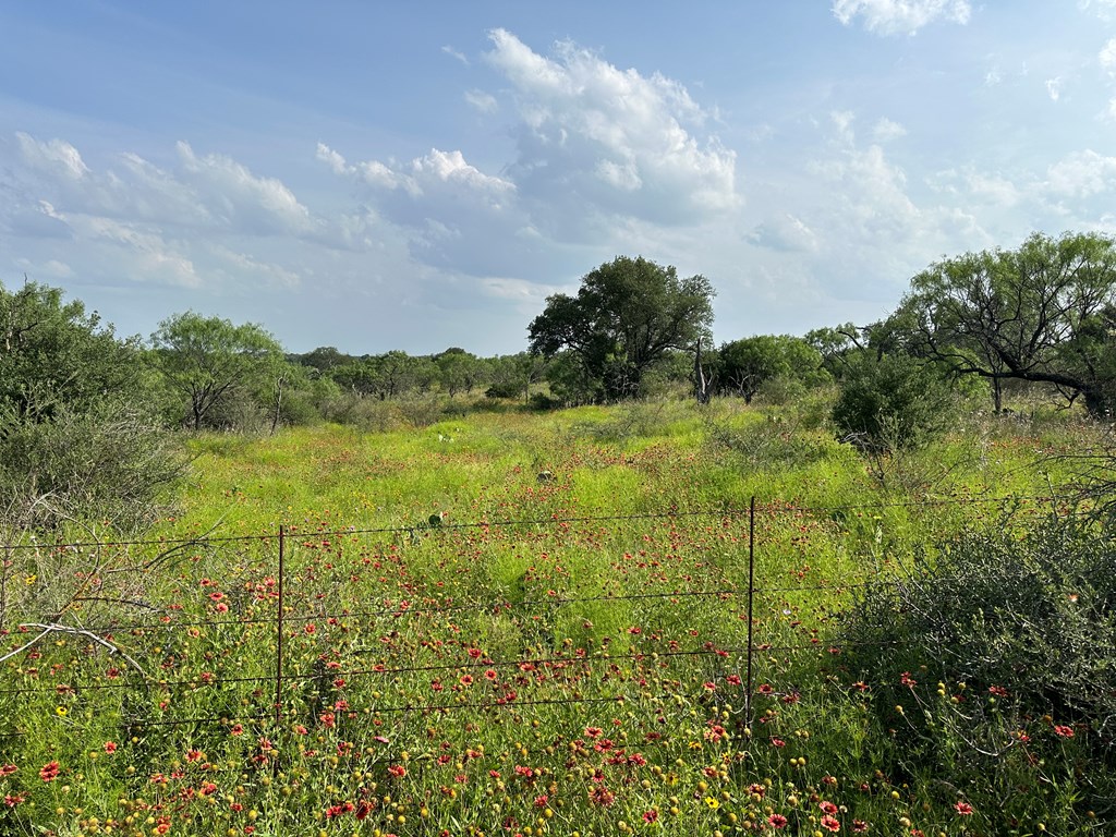 1 North Art Road Mason, TX 76856 - Photo 2 of 13 Gallery Image 2