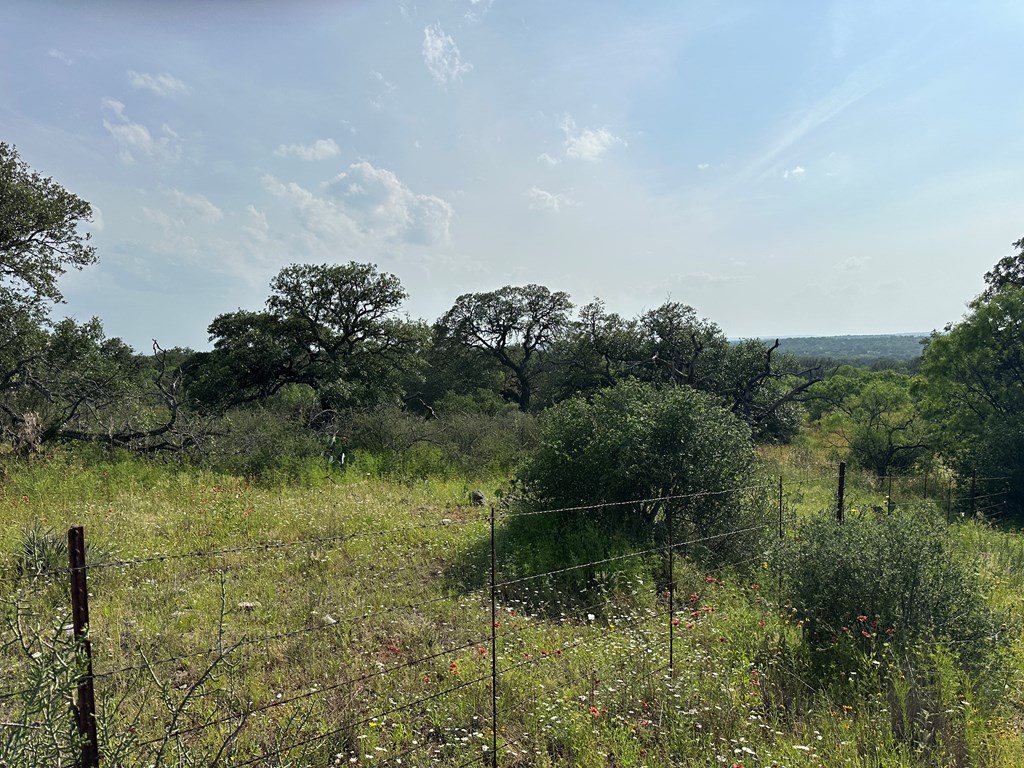 1 North Art Road Mason, TX 76856 - Photo 3 of 13 Gallery Image 3