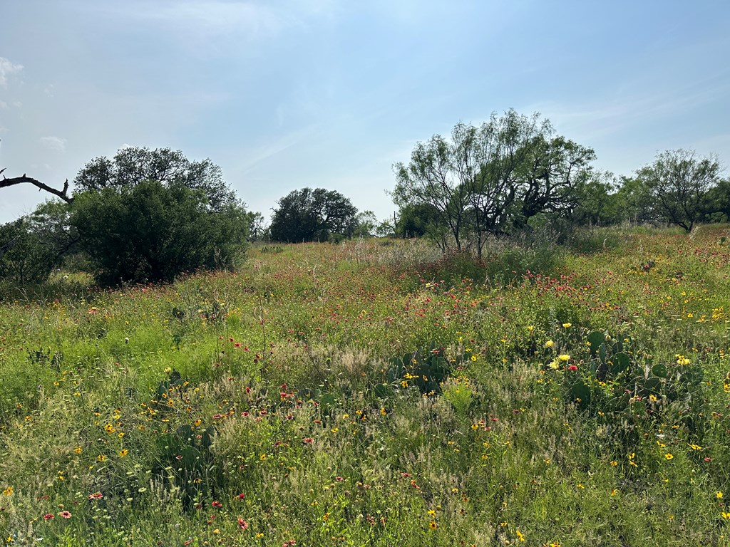 1 North Art Road Mason, TX 76856 - Photo 4 of 13 Gallery Image 4