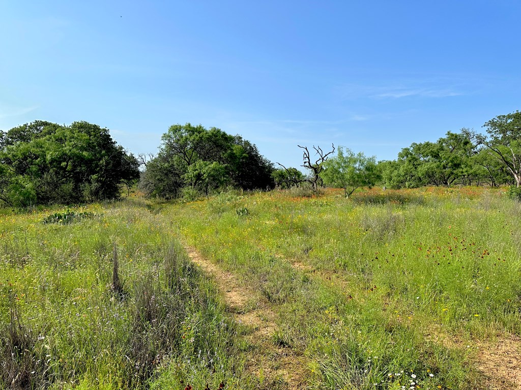1 North Art Road Mason, TX 76856 - Photo 6 of 13 Gallery Image 6